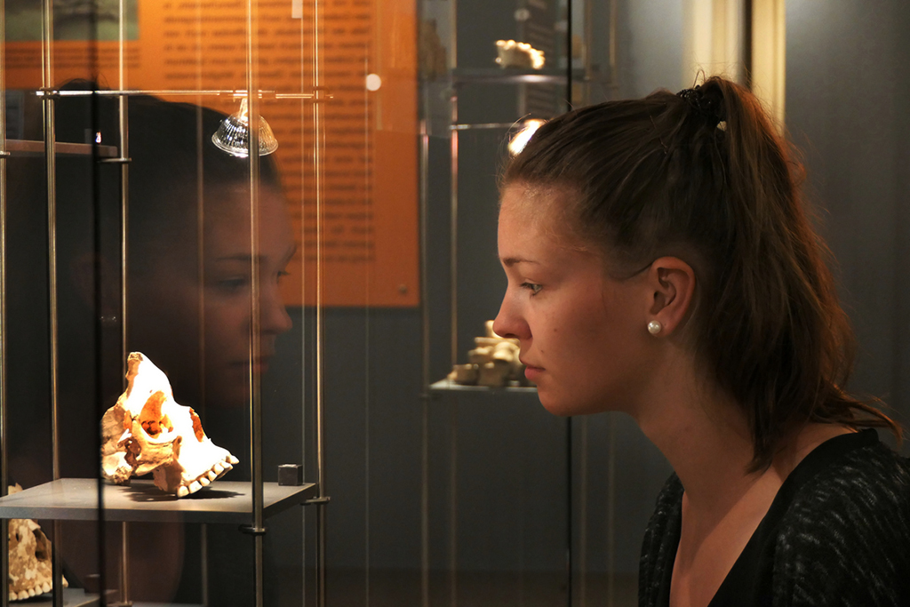 Mystery Deutschland Saarland Rheinland-Pfalz Museum Herxheim